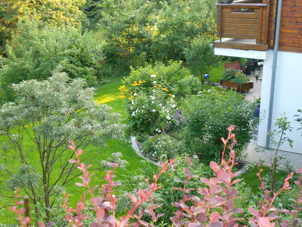 Ferienwohnung Im Harz-Haus-Bruns Clausthal-Zellerfeld Δωμάτιο φωτογραφία