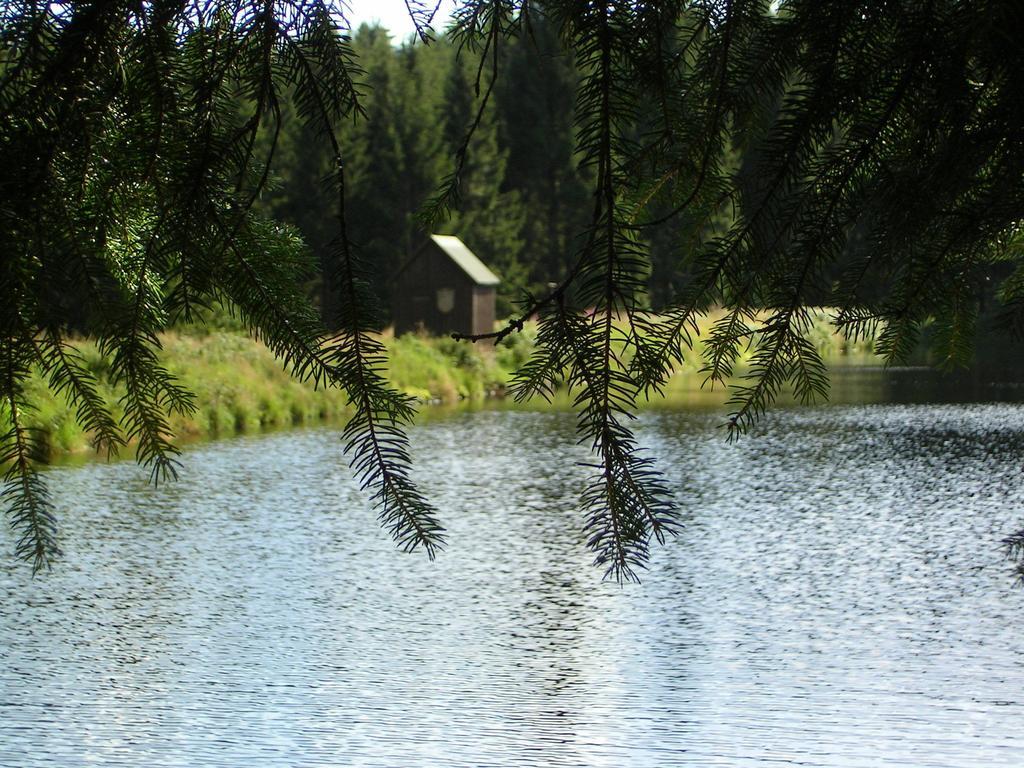 Ferienwohnung Im Harz-Haus-Bruns Clausthal-Zellerfeld Δωμάτιο φωτογραφία
