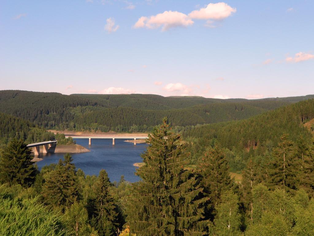 Ferienwohnung Im Harz-Haus-Bruns Clausthal-Zellerfeld Δωμάτιο φωτογραφία