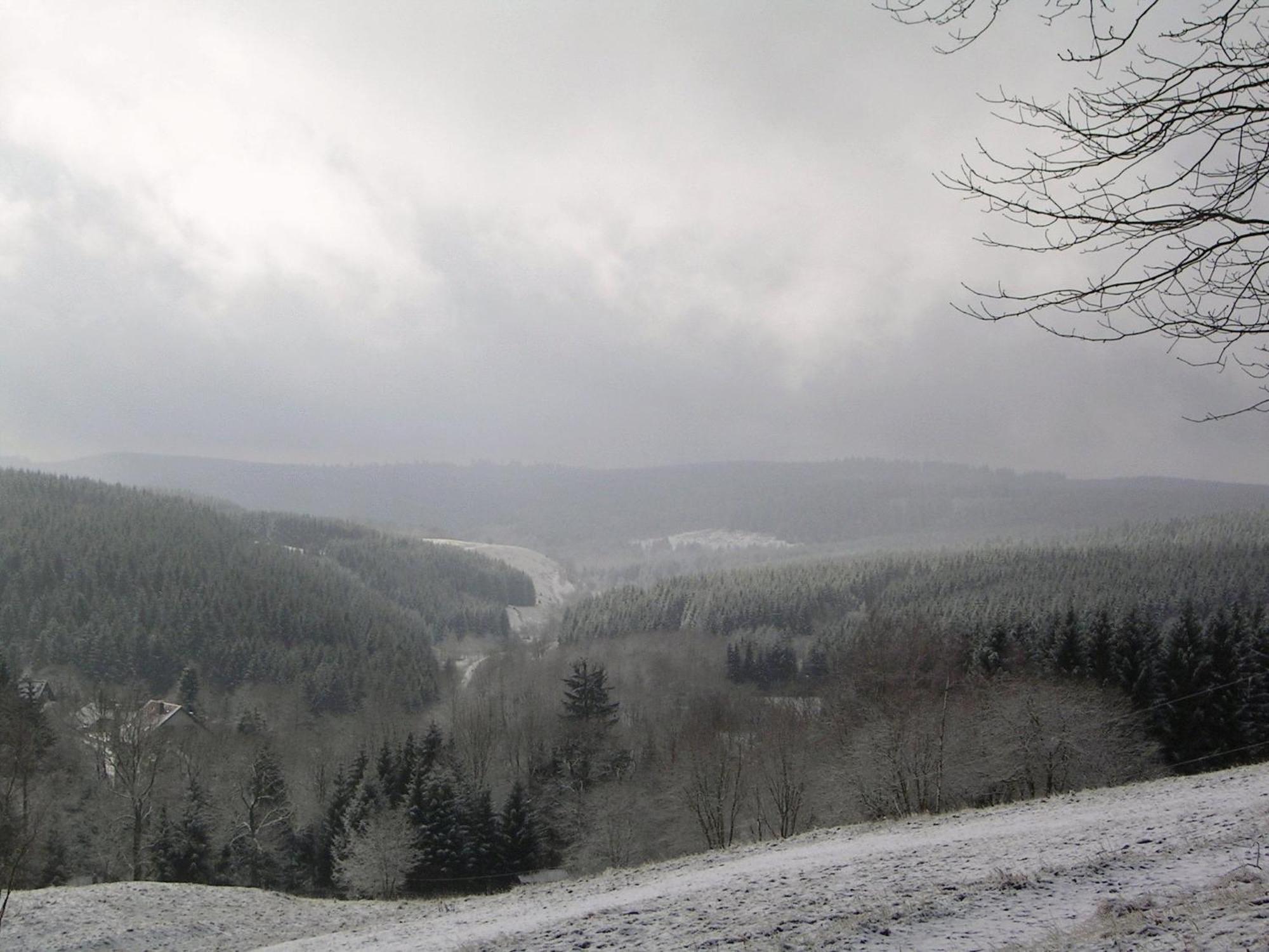 Ferienwohnung Im Harz-Haus-Bruns Clausthal-Zellerfeld Εξωτερικό φωτογραφία