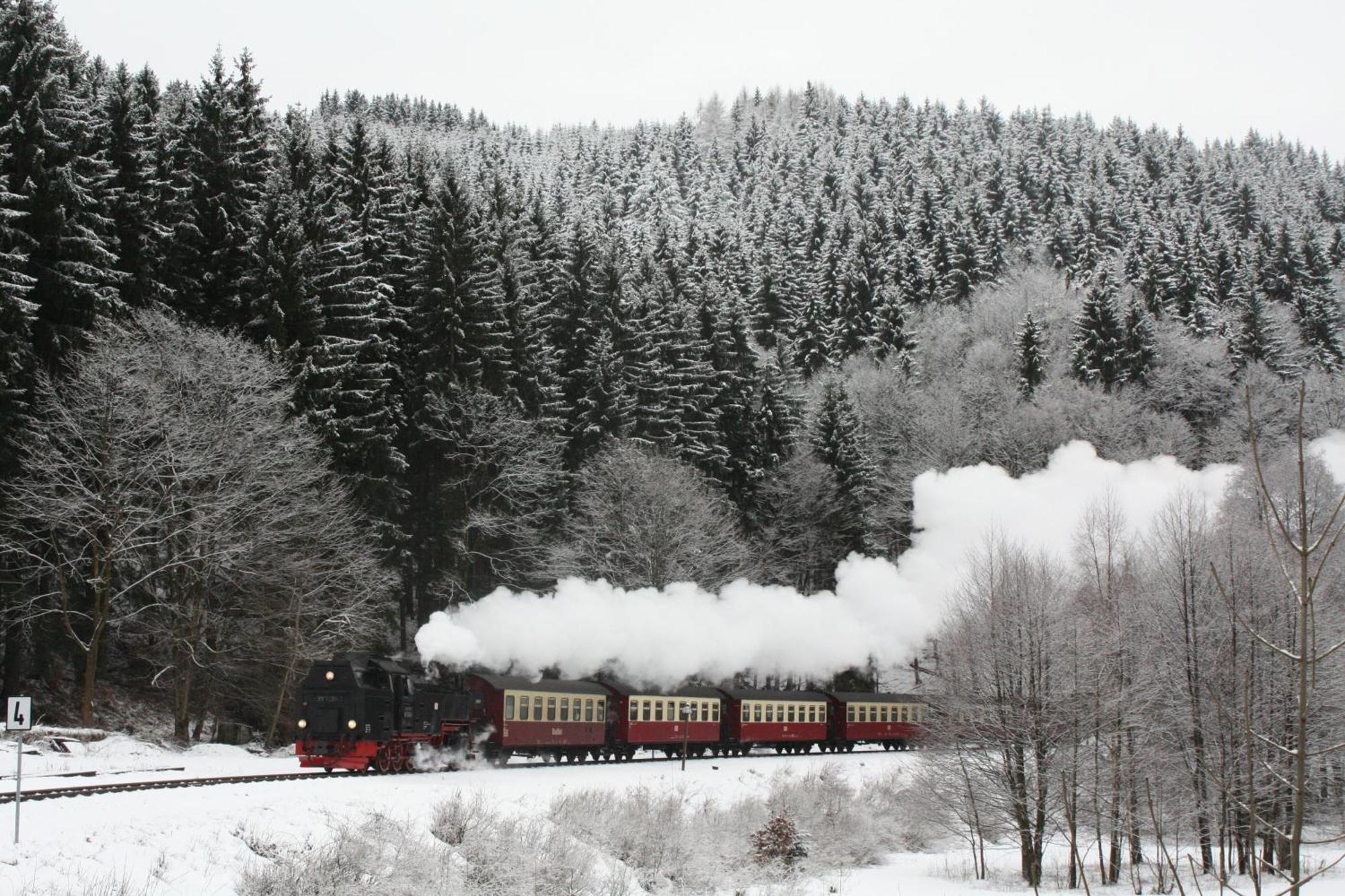 Ferienwohnung Im Harz-Haus-Bruns Clausthal-Zellerfeld Εξωτερικό φωτογραφία