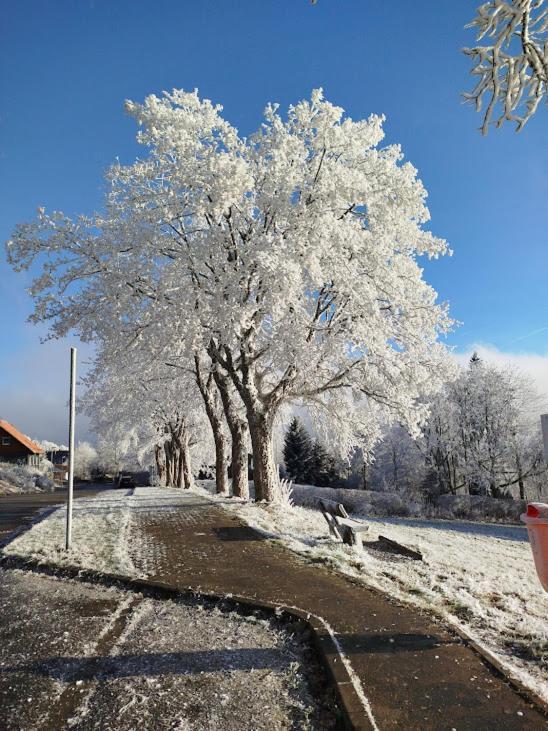 Ferienwohnung Im Harz-Haus-Bruns Clausthal-Zellerfeld Εξωτερικό φωτογραφία