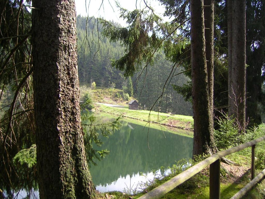 Ferienwohnung Im Harz-Haus-Bruns Clausthal-Zellerfeld Εξωτερικό φωτογραφία