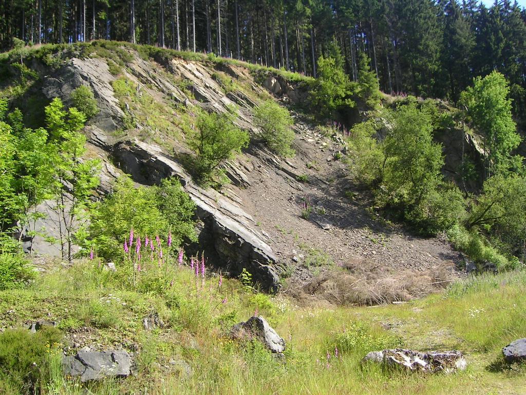 Ferienwohnung Im Harz-Haus-Bruns Clausthal-Zellerfeld Εξωτερικό φωτογραφία